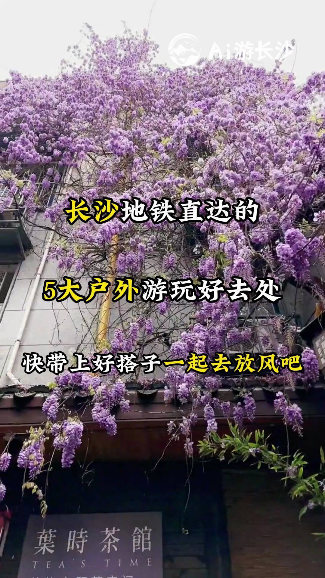 L(zhng)ɳL(zhng)ɳFֱ_(d)Ĵȥ̎ɽº@´ɽʿ@B(ti)@L(zhng)ɳξc(din)L(fng)L(zhng)ɳ